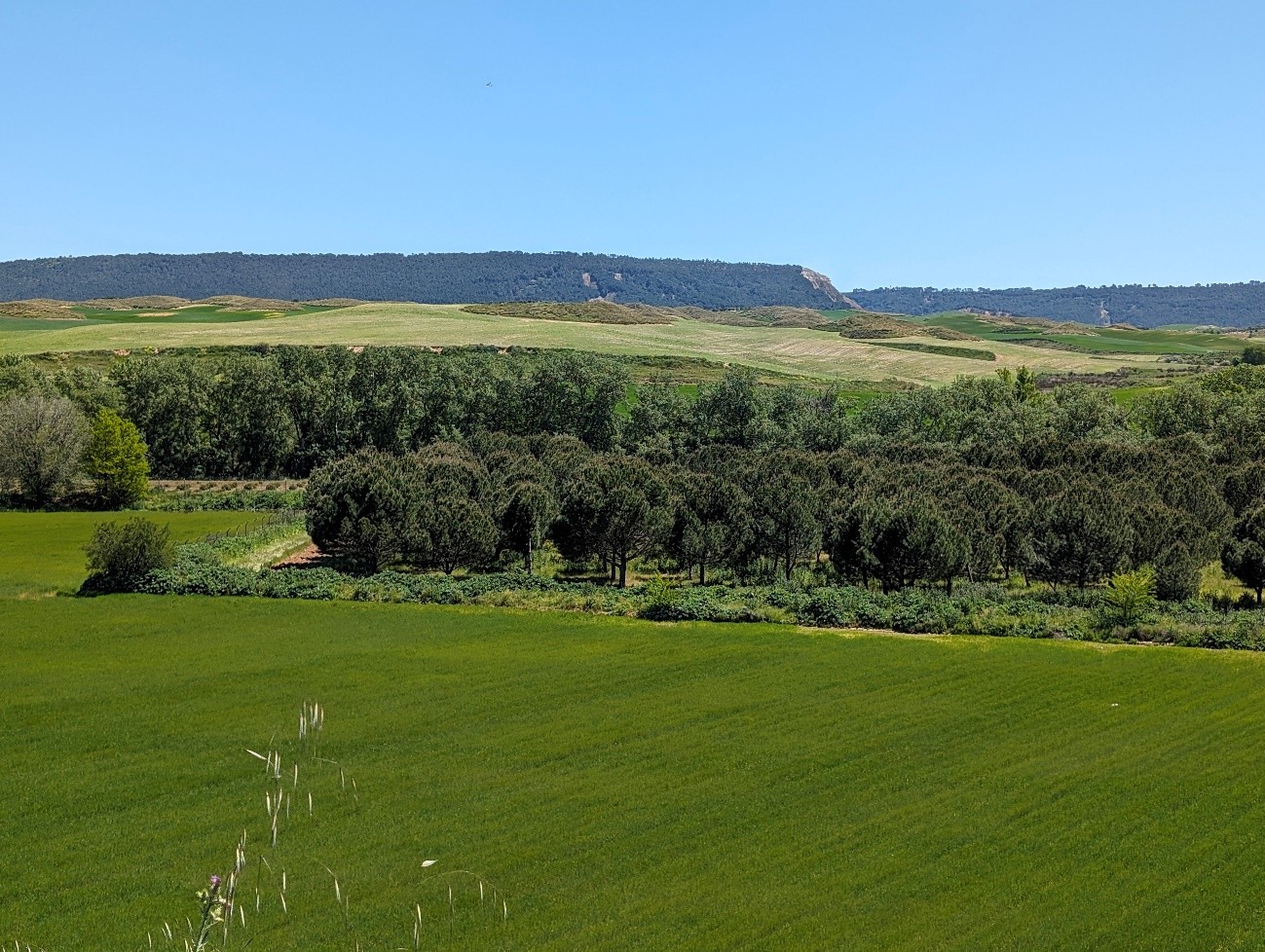 Estudios de Paisaje: ¿para qué sirven?